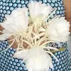 Jacoba Abarca - @jacoba.abarca - TikTok