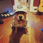 Jacob Abelseth - @jacobabelseth - Instagram