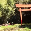 jacob.aber - @jacob.aber - TikTok