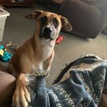 Jacob - @jacob_ablessing - Instagram