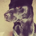 jacob Alonzo - @bunnyrabbitkyo14 - Instagram
