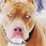 Jacob Alonzo - @jacobalonzo8 - Instagram