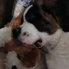 Jacob Anders - @jacob.anders8 - TikTok