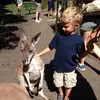 jacob.anderss - @jacob.anderss - TikTok