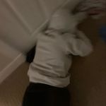 Jacob Aragon - @_jacob_aragon_ - Instagram