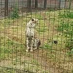 Jacob Arden - @jacob.arden666 - Instagram