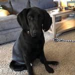 Jacob Argo - @jacobargo81 - Instagram