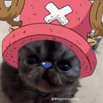 Jacob Armenta - @adau.ble - Instagram