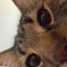 Jacob Arp - Facebook