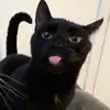 Jacob - @jacobarp1 - TikTok
