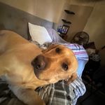 Jacob Ashby - @jacob_ashby19 - Instagram