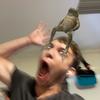 Jacob Ashe - @crambo_the_wise - TikTok