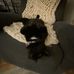 Jacob Ashmore - Facebook