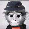 Jacob Badger - @jacobbadger - TikTok