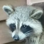 @jacob_bane_ - Instagram