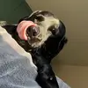 j.acobbane - @j.acobbane - TikTok
