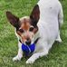 Jacob Bannister - Facebook
