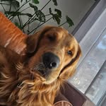 jacob bannon - @jacob_ban12 - Instagram