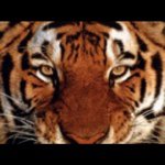 @jacob_barney - Instagram