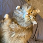 Jacob Bartzen - @jacob_bartzen - Instagram