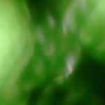 Jacob Batchelor - @thej4k3ster_27 - Instagram