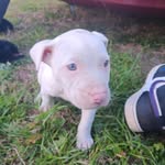 Jacob Battles - @jacob_lbattles - Instagram