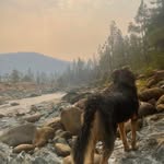 Jacob Baty - @f6ckyou541 - Instagram