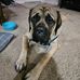Jacob Baucom - Facebook