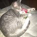 Jacob Baucom - Facebook