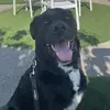 Jacob Baugher - @jacob.baugher1 - TikTok