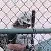 JB - @jacob.baumgartner - TikTok