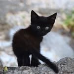 Jacob Beaman - @jacob.beaman.336 - Instagram