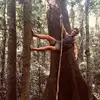 jacobibeaman - @jacobi.beaman - TikTok