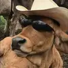 Jacob Beddows140 - @jacobbeddows140 - TikTok