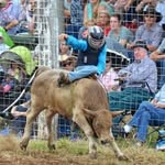 Jacob Beddows - @jacob_andrew_beddows - Instagram