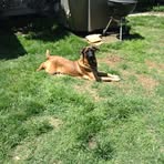 Jacob Bedingfield - Facebook