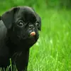 Jacob_Beekman_ - @christina0502 - TikTok