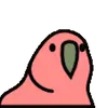 jeff - @jacobbeelerre - TikTok