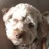 jacobbeesley50 - @jtb657 - TikTok
