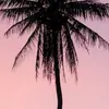 Jacob B - @jacobbenkosky - TikTok