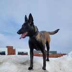 Jacob begin - @1302_jacob - Instagram