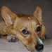 Jacob Begin - Facebook