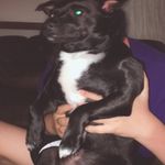 Jacob Begines - @jacobbegines07 - Instagram