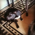 no stalking - @jacobbegines - Instagram