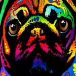 Jacob Beller - @bread_king_13 - Instagram