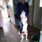 Jacob Bellis - Facebook