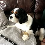 jacob - @jacobbellison - Instagram