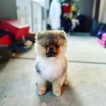 benchimol jacob - @jacob_benchimol - Instagram