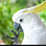 jacob benchouchou - @jacobbenchouchou - Instagram