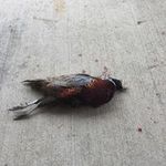 Jacob Benkert - @benkertjacob - Instagram
